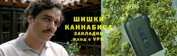 ПСИЛОЦИБИНОВЫЕ ГРИБЫ Абаза